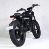 Factory direct supply of 60ah off-road electric-assisted bicycles for commuting, high-speed bicycles, Harley-Davidson electric bikes, lithium battery wide tires Specification image